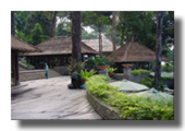 Banyan Tree Resort @ Bintan
